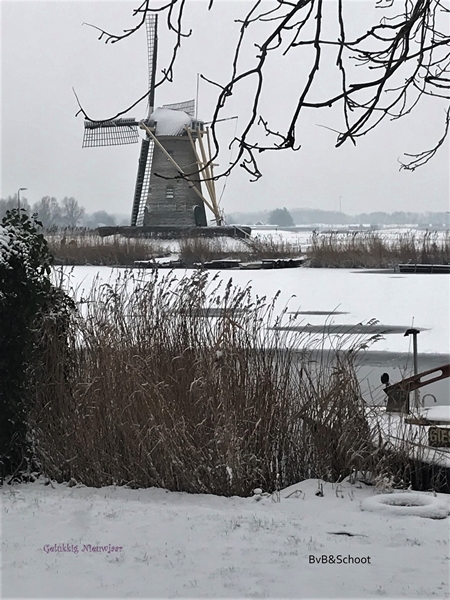 Gelukkig Nieuwjaar